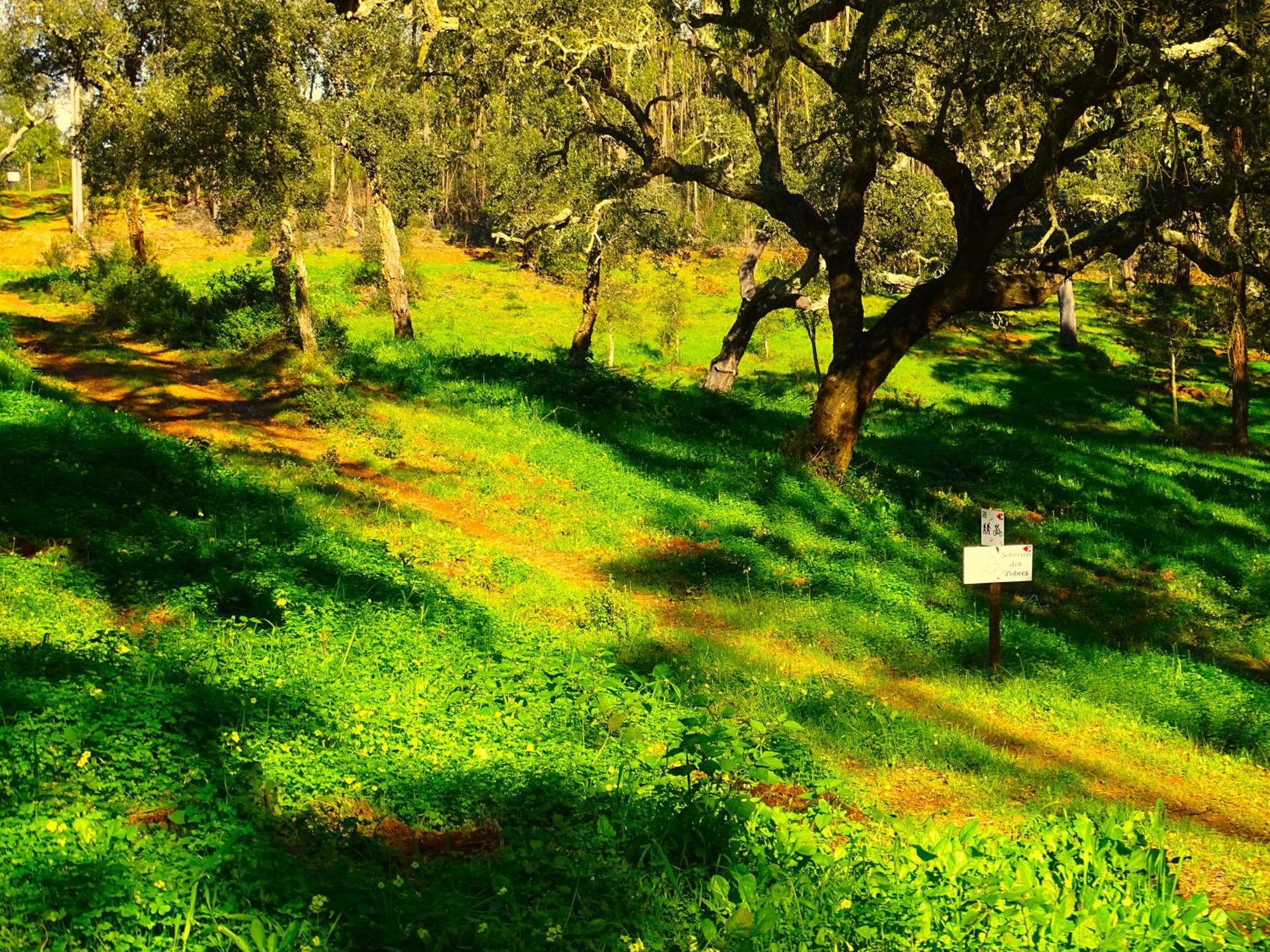 Herdade Vale De Gaios By Stay In Alentejo Сан-Луиш Экстерьер фото